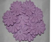 AS4E - 32mm Lush Mauve Daisy 